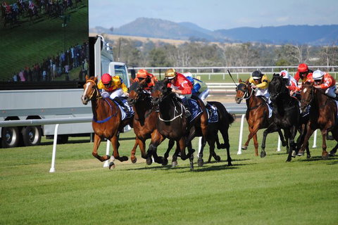 Airlie House Motor Inn - Accommodation Mermaid Beach 4