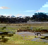 Pelican Point Sanctuary - Accommodation Mermaid Beach