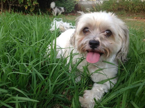 A Country Barn Retreat - Accommodation Mermaid Beach 3