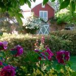 A Country Barn Retreat - Accommodation Mermaid Beach 0