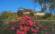 Tranquill Garden Hideaway - thumb 6