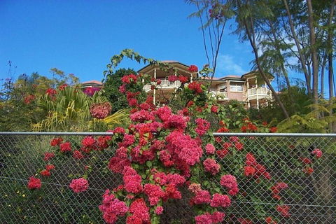 Tranquill Garden Hideaway - Accommodation Mermaid Beach 6