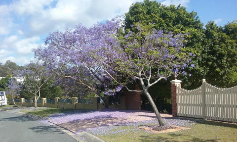 Tranquill Garden Hideaway - Accommodation Mermaid Beach 2