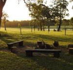 Wallaby Cottage cute Accom in bushland setting - Accommodation Mermaid Beach