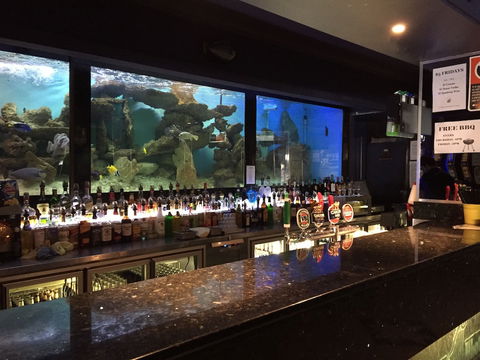 Harp Hotel - Accommodation Mermaid Beach 4