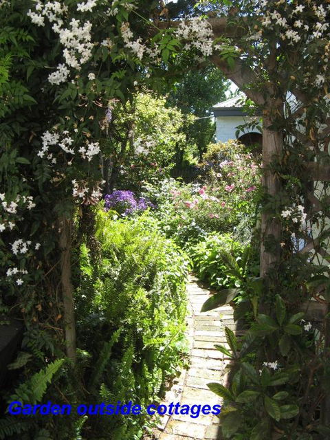 The Grove Cottages - Accommodation Mermaid Beach 3