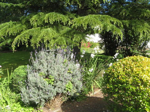 The Grove Cottages - Accommodation Mermaid Beach 7