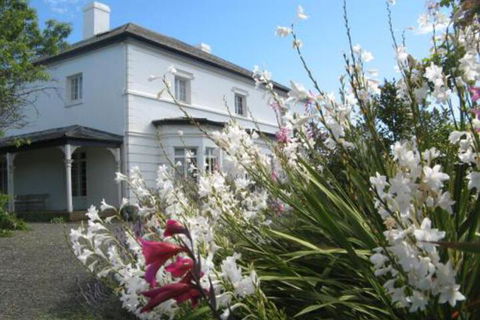The Grove Cottages - Accommodation Mermaid Beach 0