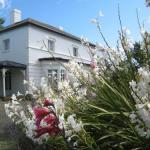 The Grove Cottages - Accommodation Mermaid Beach 1