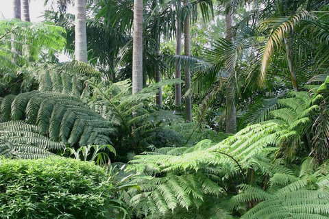 Amore Mt Tamborine - Accommodation Mermaid Beach 1