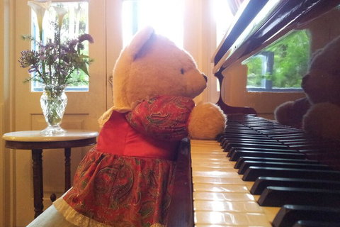 Amore Mt Tamborine - Accommodation Mermaid Beach 4