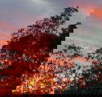 The York Heritage Hotel  Terraces - Accommodation Mermaid Beach