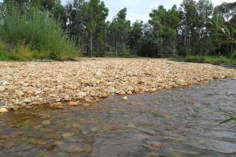 Brookfield Guesthouse - Accommodation Mermaid Beach 7