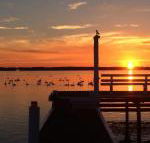 Bayview Boathouse - Accommodation Mermaid Beach