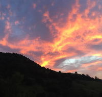 Heggys Cottage - Accommodation Mermaid Beach