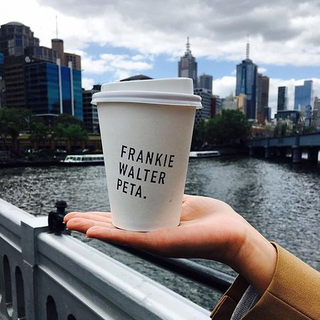 Frankie Walter Peta - Accommodation Mermaid Beach 0