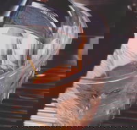 Pavilion Cafe  Bar - Accommodation Mermaid Beach