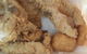 KFC - thumb 0