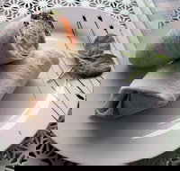 Cafe Lazat - Accommodation Mermaid Beach