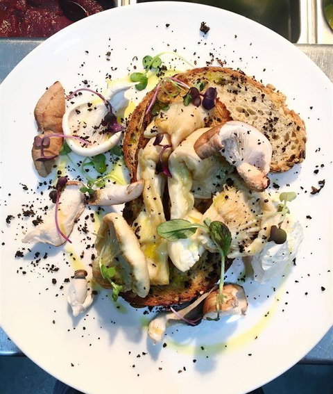 Crest Birubi Beach - Accommodation Mermaid Beach 12