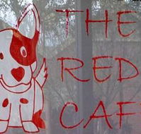 Red Dog Cafe - Accommodation Mermaid Beach