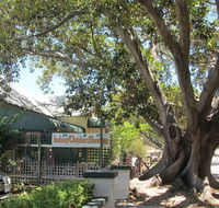 The Season Tree - Accommodation Mermaid Beach