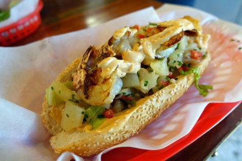 Fat Pigeon - Accommodation Mermaid Beach 0