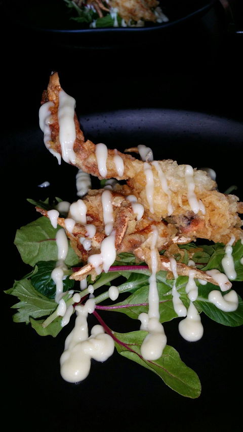 Chilli Orange - Accommodation Mermaid Beach 2