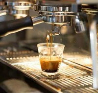 Black Bear Cafe - Accommodation Mermaid Beach