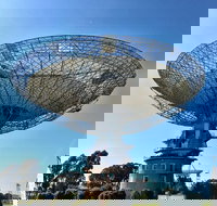 Dish Cafe - Accommodation Mermaid Beach