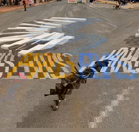 Wholesome Blend - Accommodation Mermaid Beach