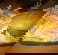 Finn  Co Cafe - Accommodation Mermaid Beach