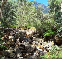 Star Chinese Restaurant