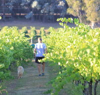 Tallagandra Hill Winery