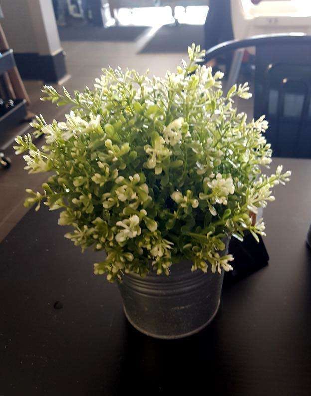 Hilbert WA Accommodation Mermaid Beach