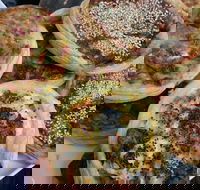 The Re Store Northbridge - Accommodation Mermaid Beach