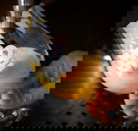 Hope Estate Brewery - Accommodation Mermaid Beach