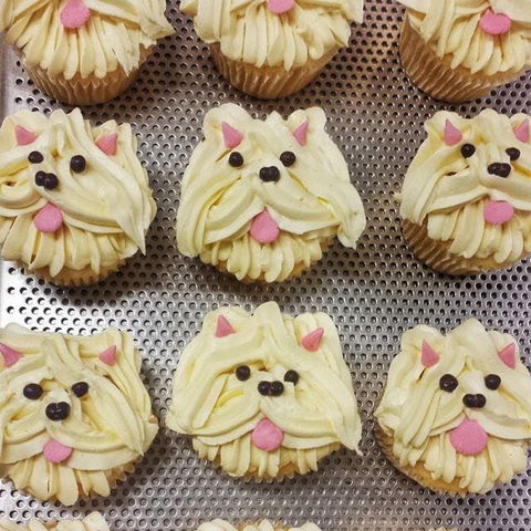 Cupcake Central - Maribyrnong - Accommodation Mermaid Beach 0
