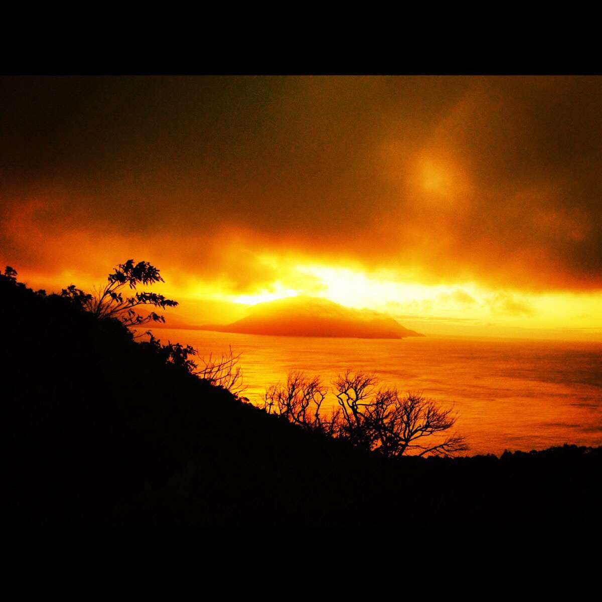 Blackbull ACT Accommodation Mermaid Beach