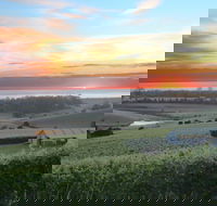 Cape Bernier Vineyard - Accommodation Mermaid Beach