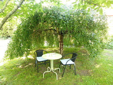 Earthwater Cafe - Accommodation Mermaid Beach 0