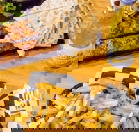 Little Bad Wolf - Accommodation Mermaid Beach