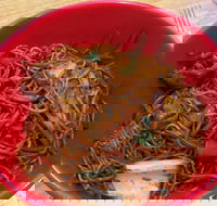 Noodle World - Accommodation Mermaid Beach