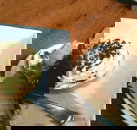 Appleseed cafe - Accommodation Mermaid Beach