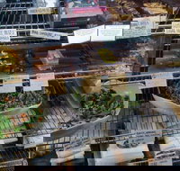 Haynes Street Larder - Accommodation Mermaid Beach