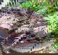 Kimnat Little Market and Cafe