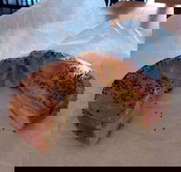 Toby's Estate - Accommodation Mermaid Beach