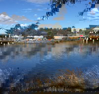 Puddleduck Vineyard - Accommodation Mermaid Beach