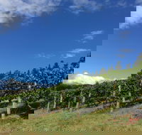 Freycinet Vineyard - Accommodation Mermaid Beach