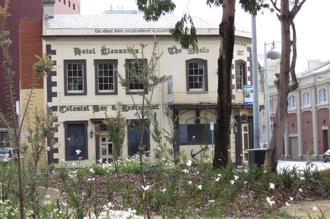 Hope & Anchor Tavern - Accommodation Mermaid Beach 0